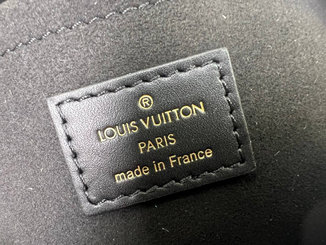 Louis Vuitton Speedy 20 M58953