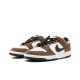 Nike Dunk SB Pro "Trail End" 304292-102