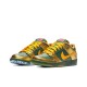 Nike Dunk SB Pro Low Doernbecher BV8740-377